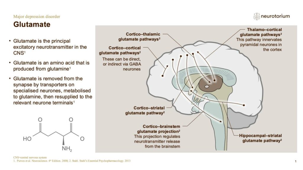 Major Depressive Disorder - Neurobiology and Aetiology - slide 17